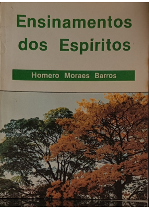 ENSINAMENTOS DOS ESPIRITOS - sebo