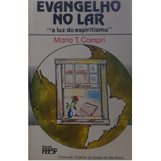 EVANGELHO NO LAR A LUZ DO ESPIRITISMO - sebo